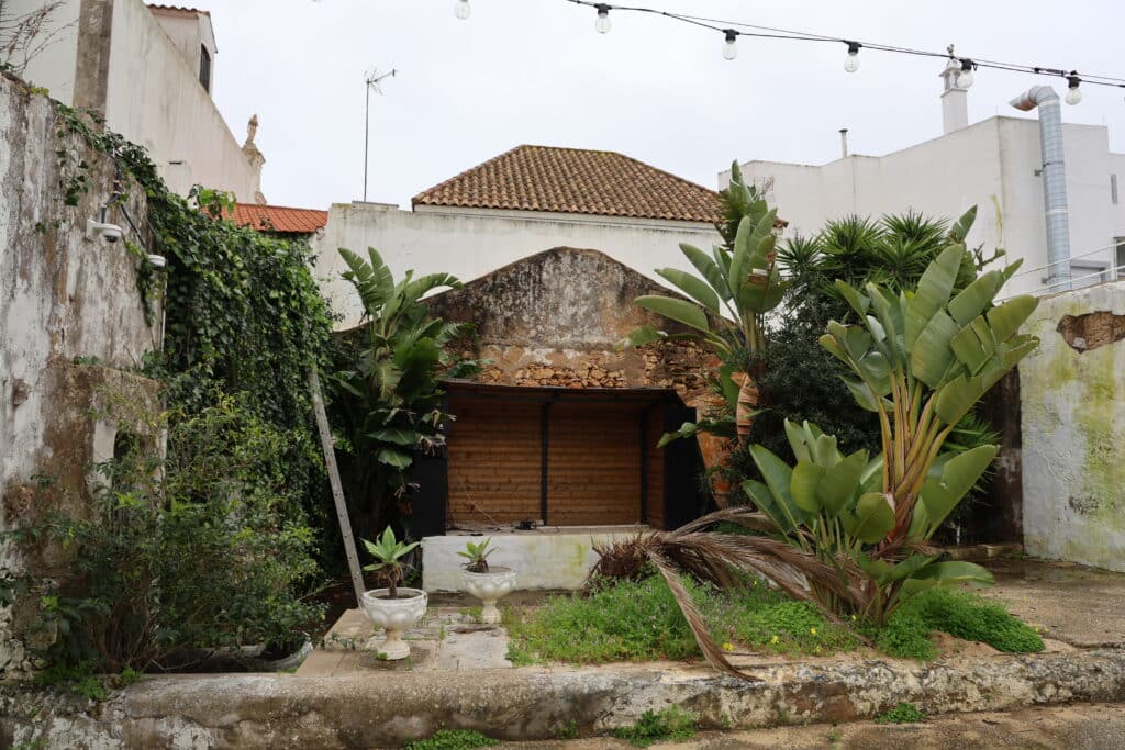 Três Macacos (by Michael Bruxo) 633