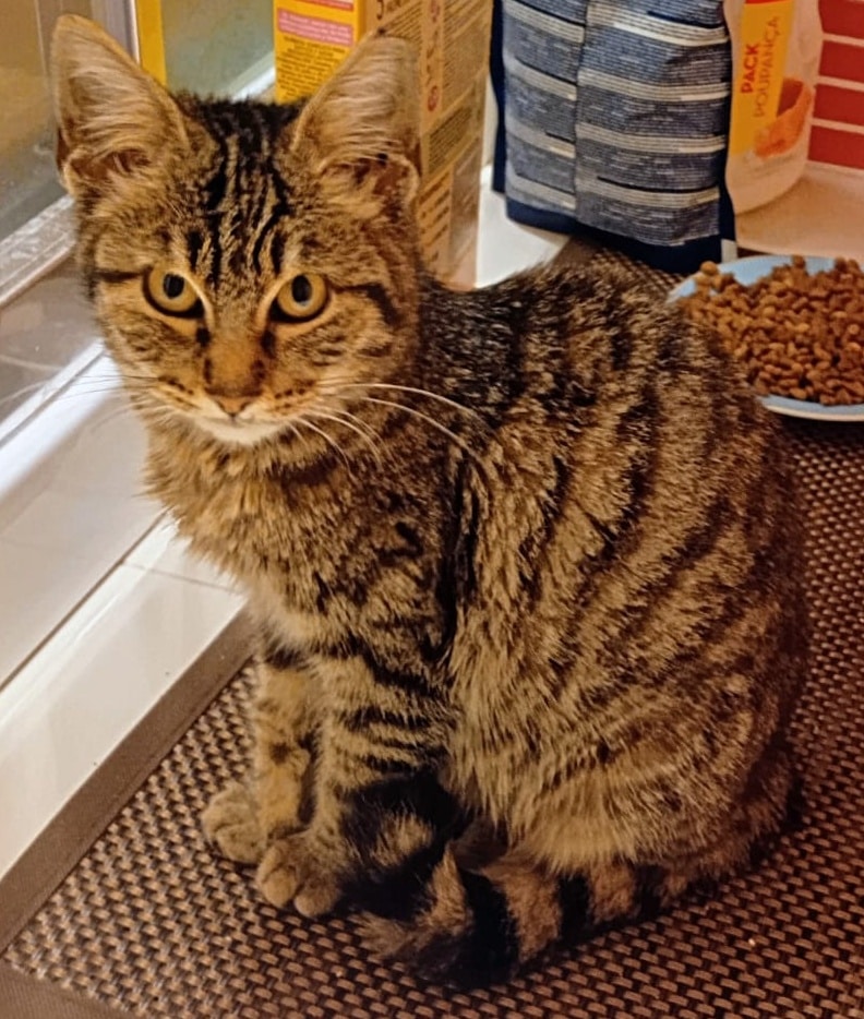 Someone picked this ‘Biscuit’!