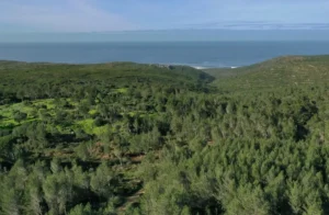 Cascais municipality takes out €30 million loan to stymie property speculation