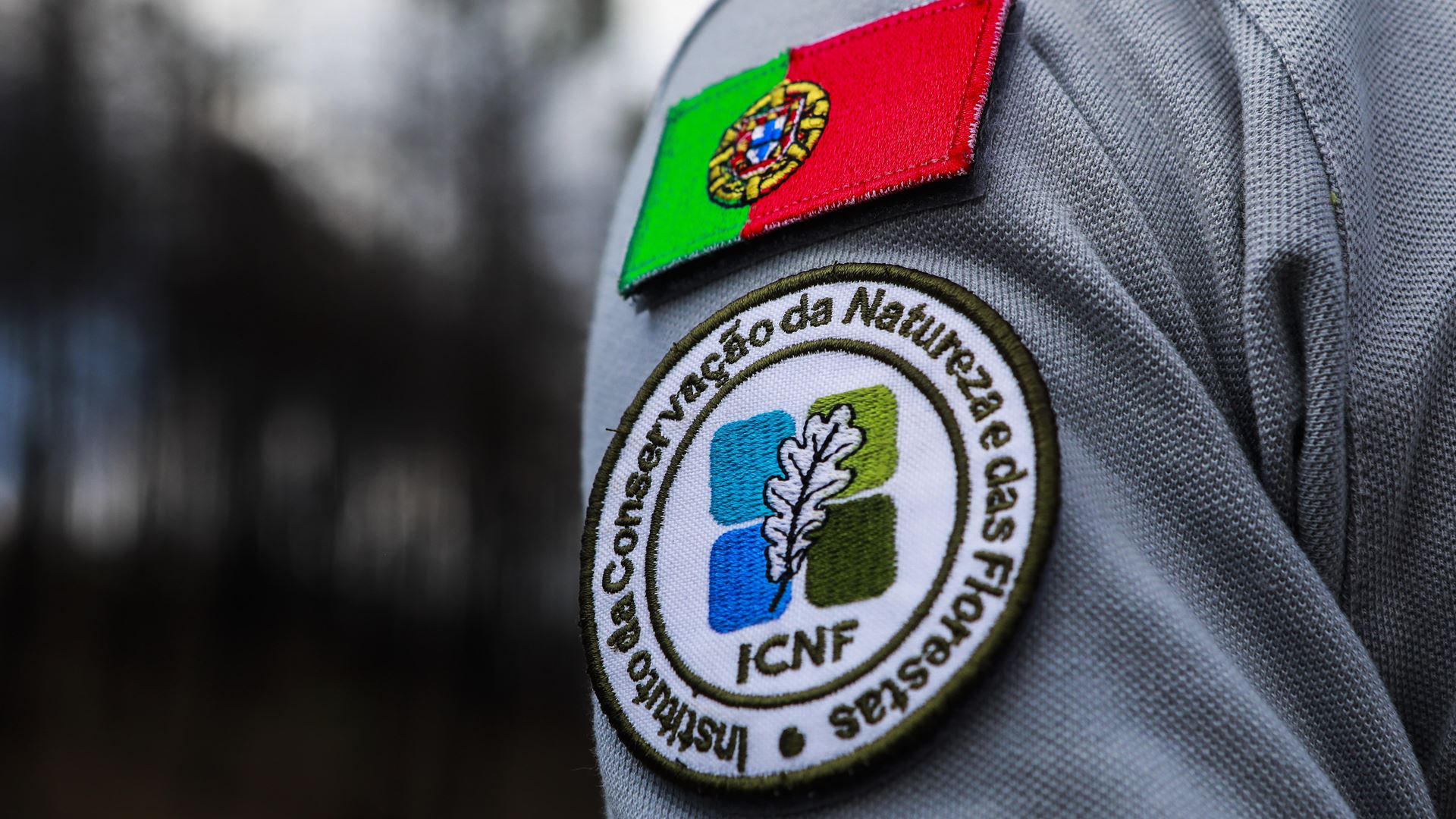 The ICNF's duty is to conserve nature and the nation's forests - not to fall in line with projects that threaten natural values