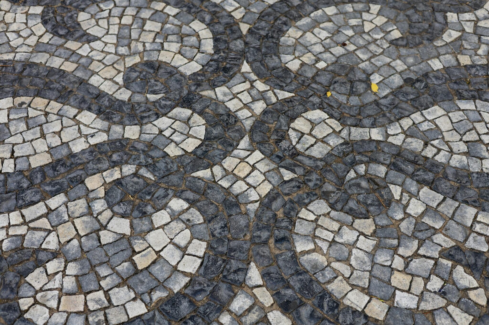 Government moves to protect Portugal’s iconic cobblestone