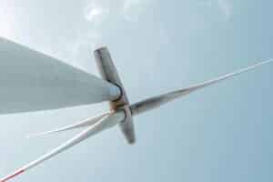 Bird group calls for rejection of wind farm in eastern Algarve