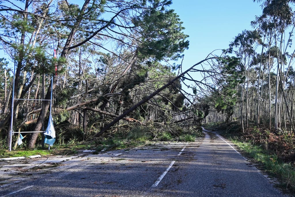 Leiria Storm kristin