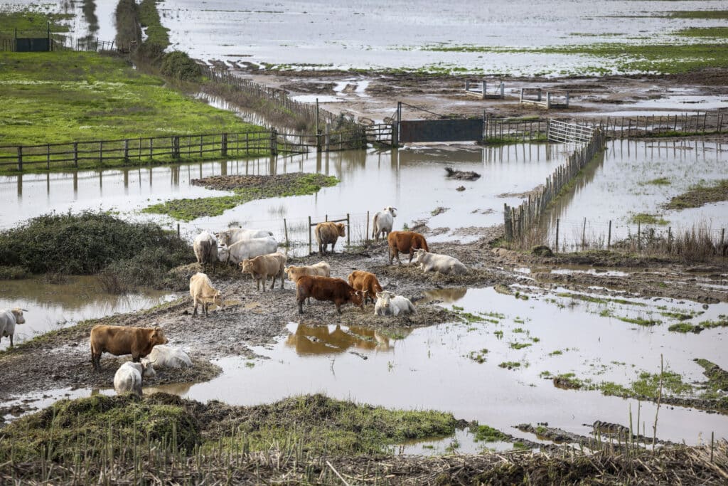 Cheias na zona da Azambuja