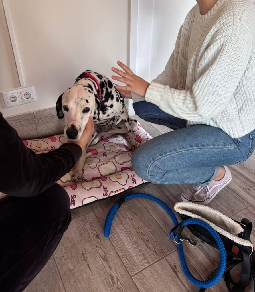 3 - Our heartfelt thanks go to ARA