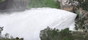Water released from Portuguese dams “equivalent to half century of human consumption”