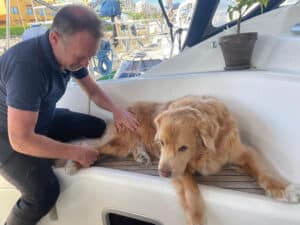 Reiki for animals: because even your pet has emotional baggage