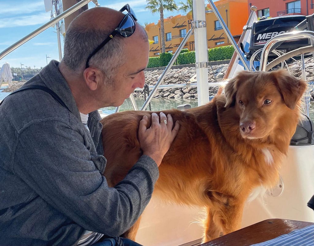 Animals and Reiki (3)