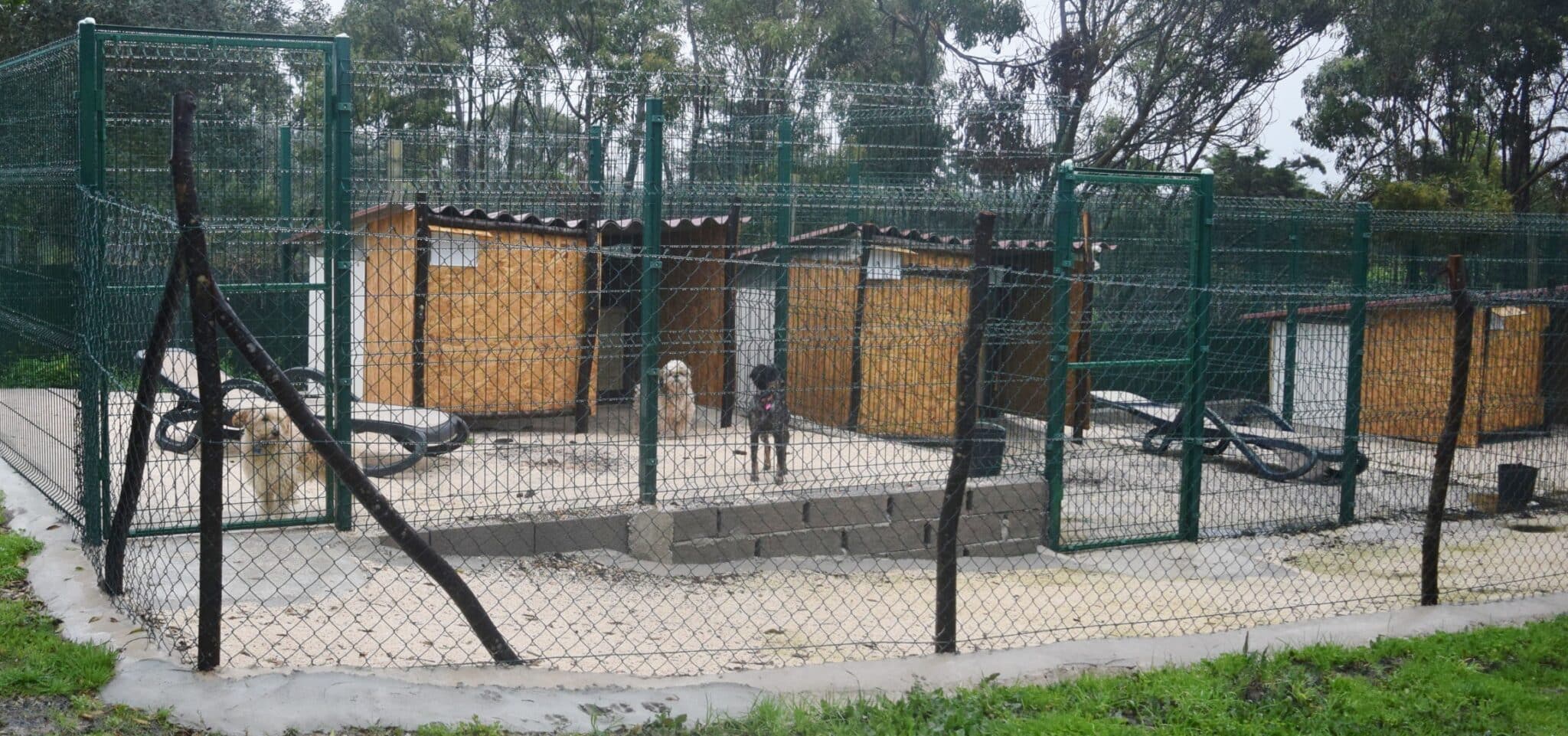 Mayday kennels saved the day!