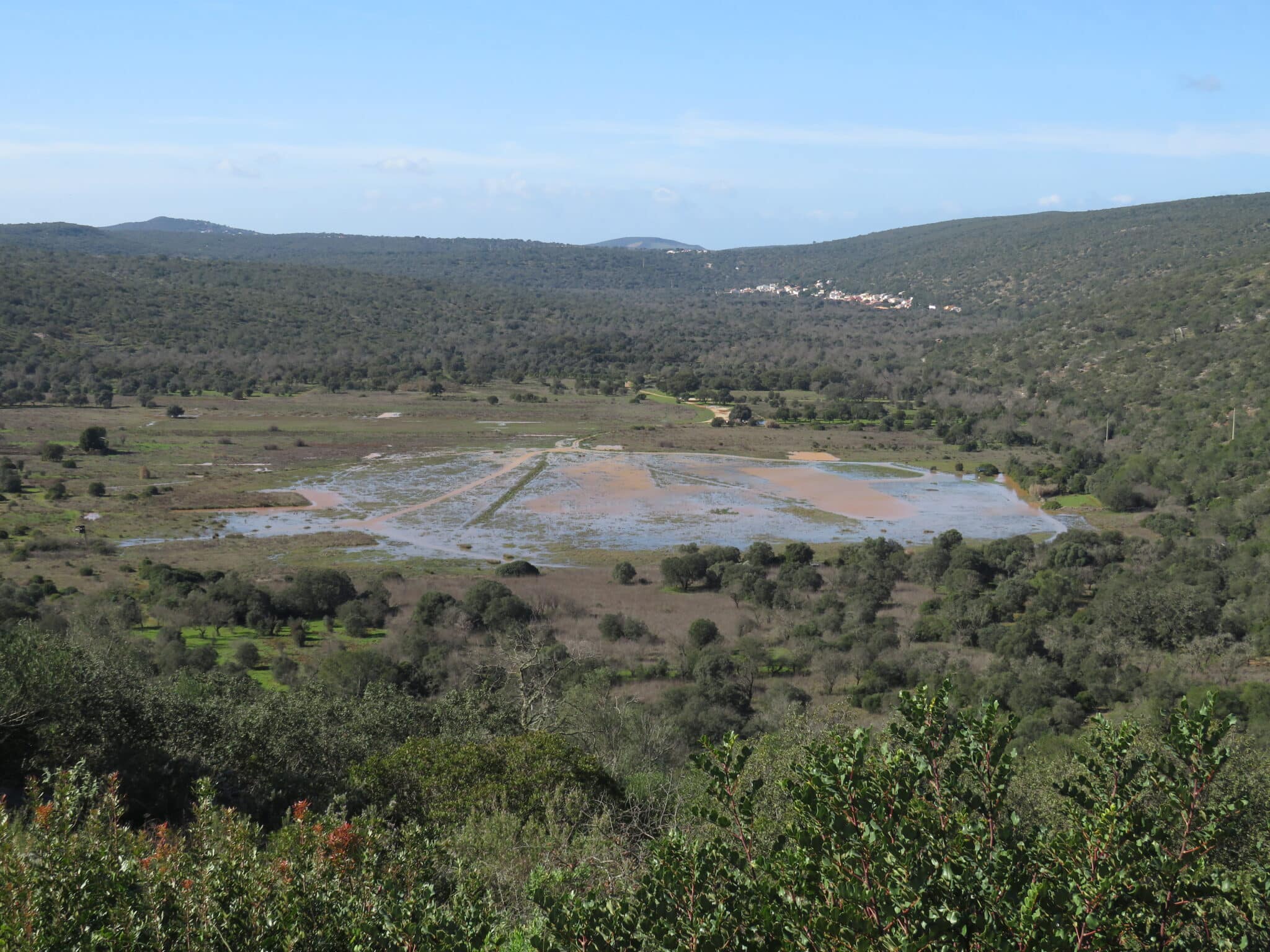 New protected status for rare ecosystems in Loulé