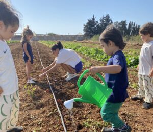 O Bairro: where Faro comes out to play