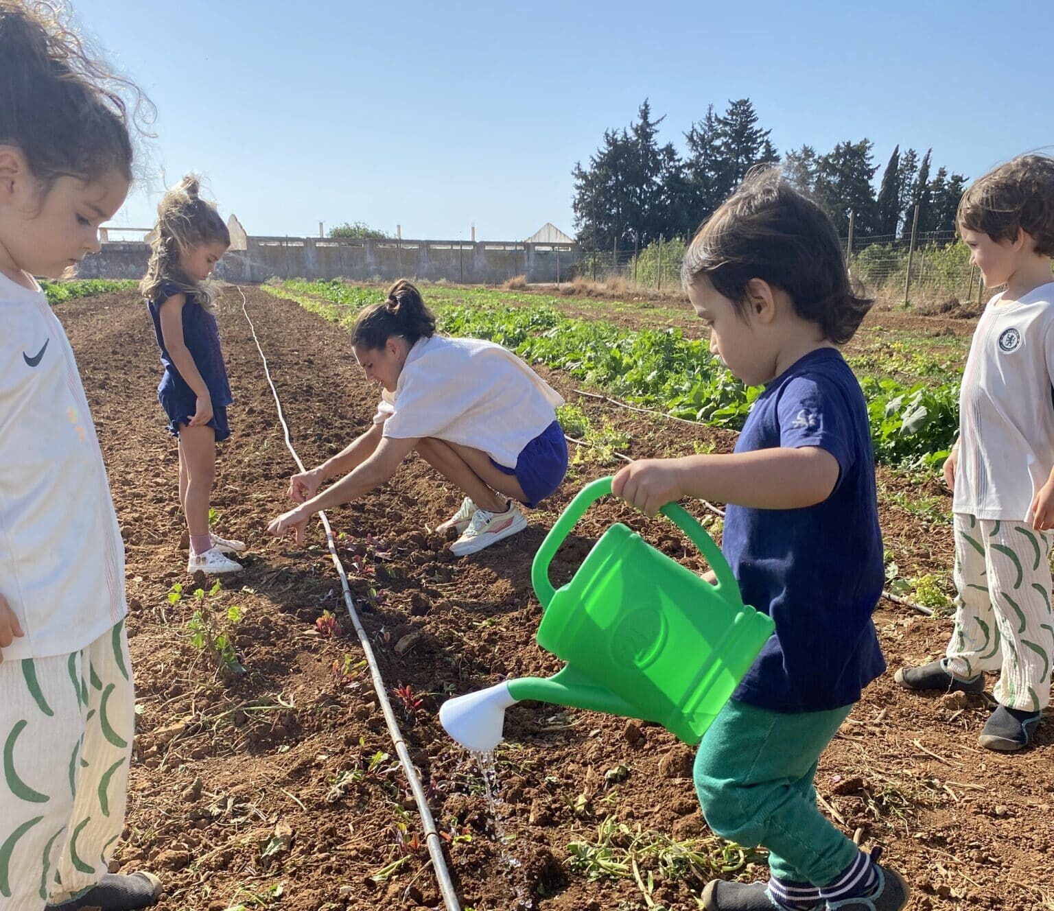 O Bairro: where Faro comes out to play