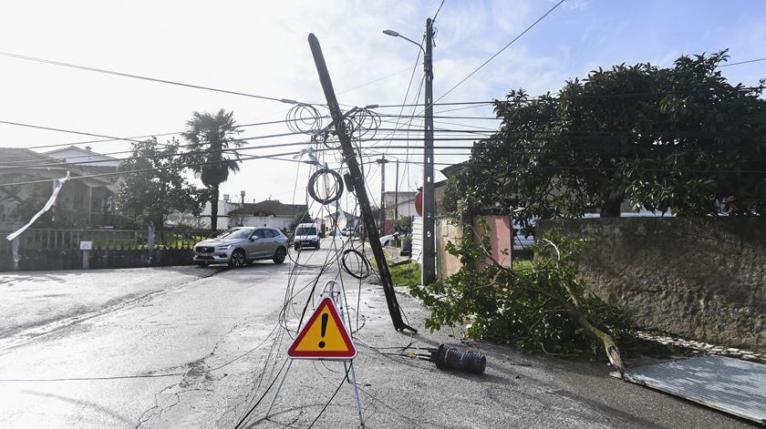 Power cables (David Thomas)