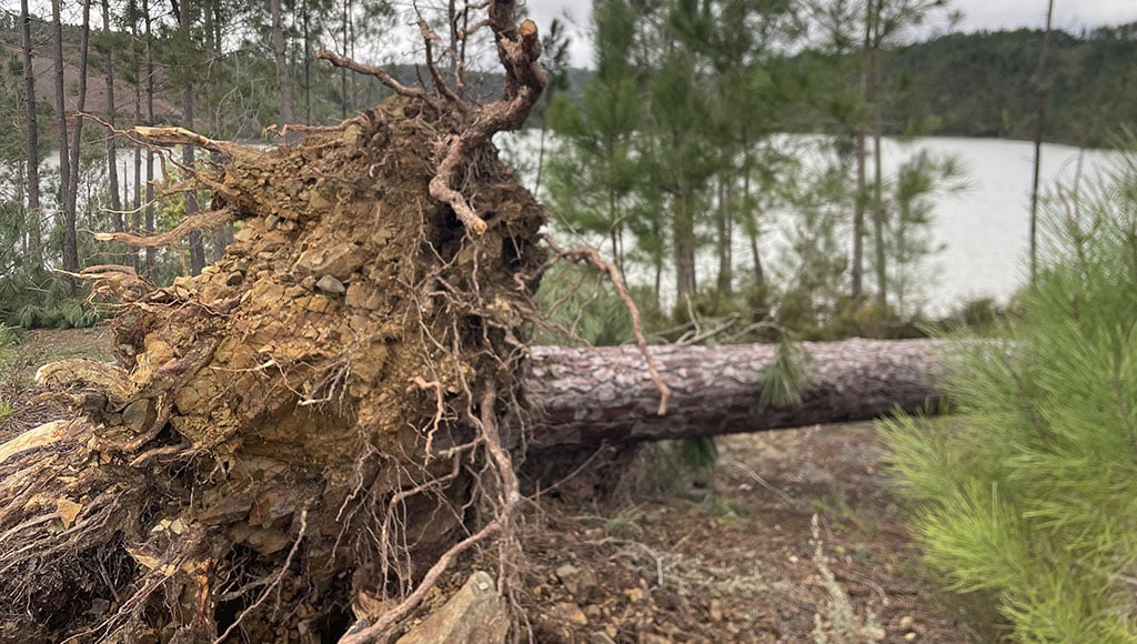 Storm damage at the reservoir at Cabril