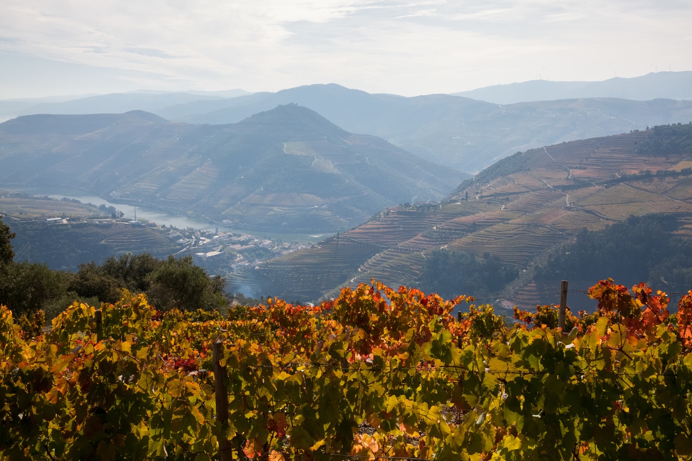 The Douro