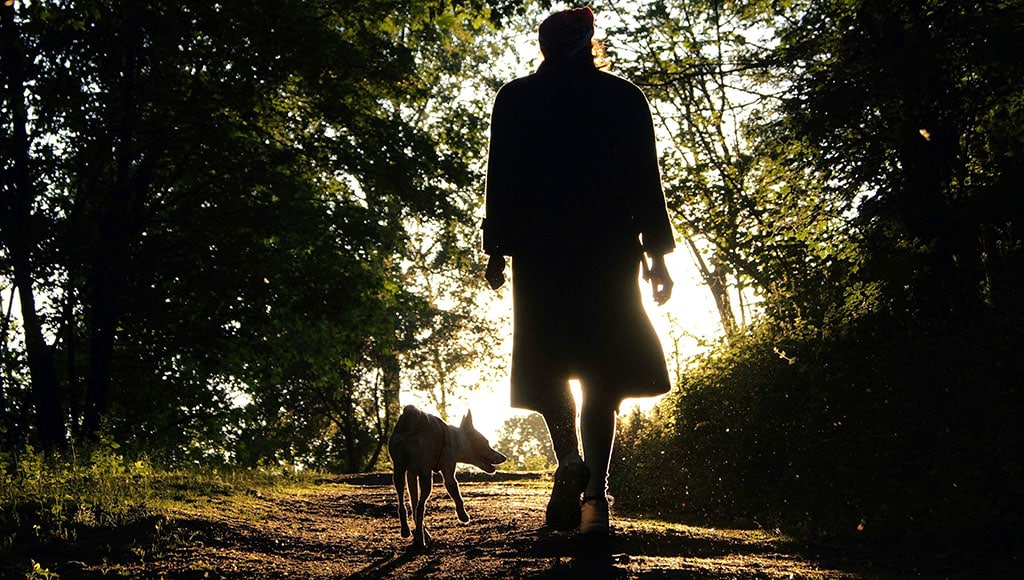 Walking dog (Michael Kucharski-unsplash)