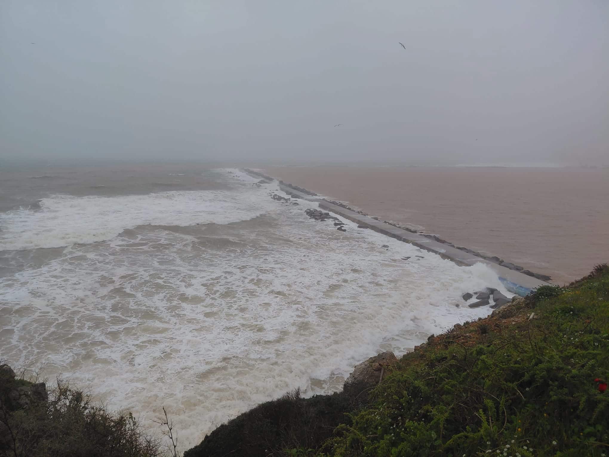 Storm Leonardo: Algarve records 134 incidents in 24 hours