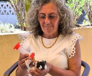 Community rallies to help Lagoa animal sanctuary