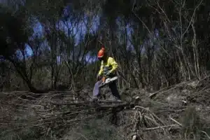 Prisoners to clear scrubland ahead of wildfires – draft bill