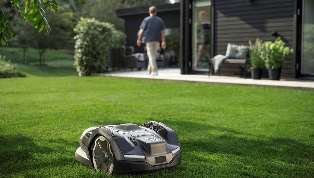 5 ideas to adapt your garden to the trends of 2026