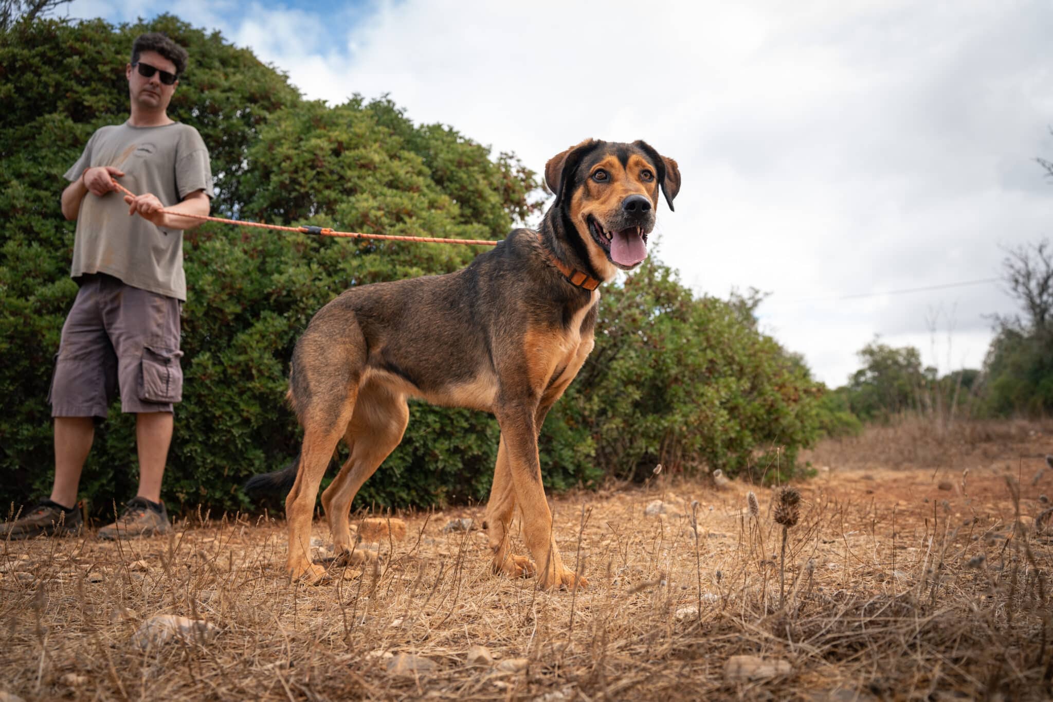 Bonita gains confidence steadily with patience and gentle encouragement