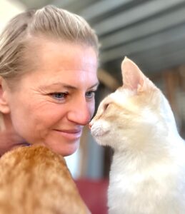 Carvoeiro Cat Charity adoptions up year on year