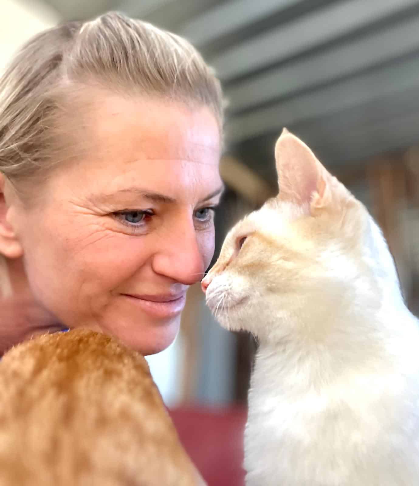 Carvoeiro Cat Charity adoptions up year on year