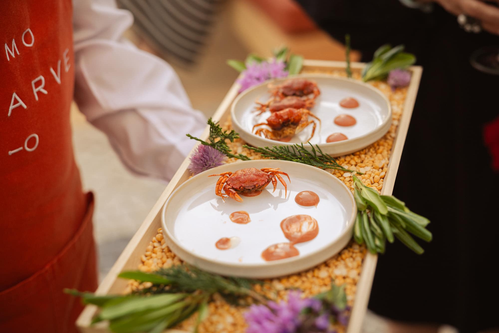 Michelin chefs take over Pine Cliffs for exclusive dinner series