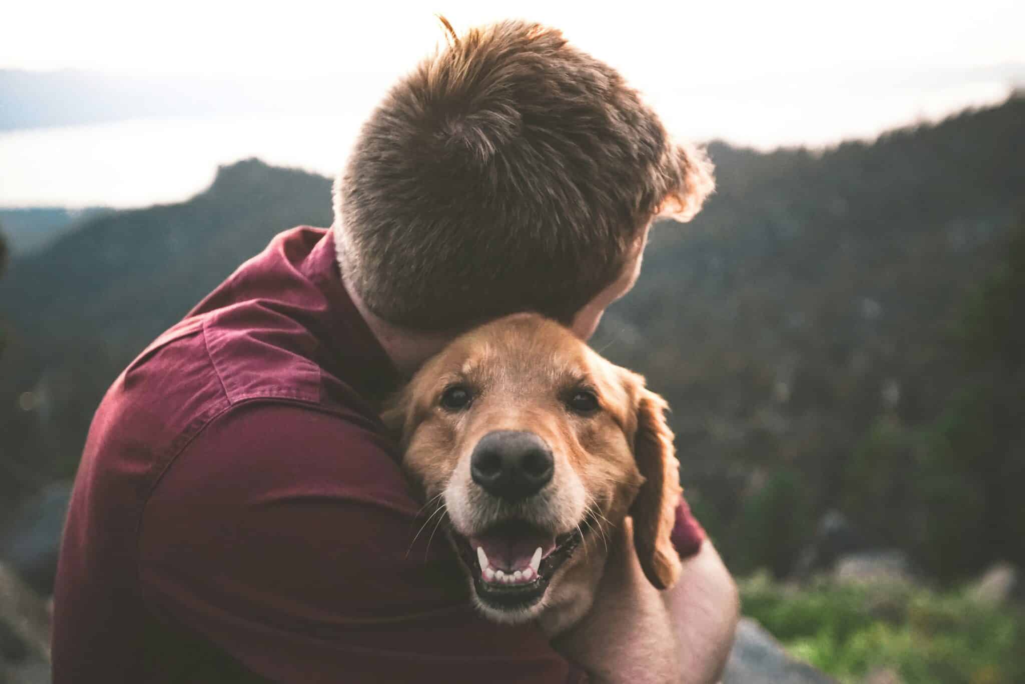 Dog and owner (Eric Ward-unsplash)