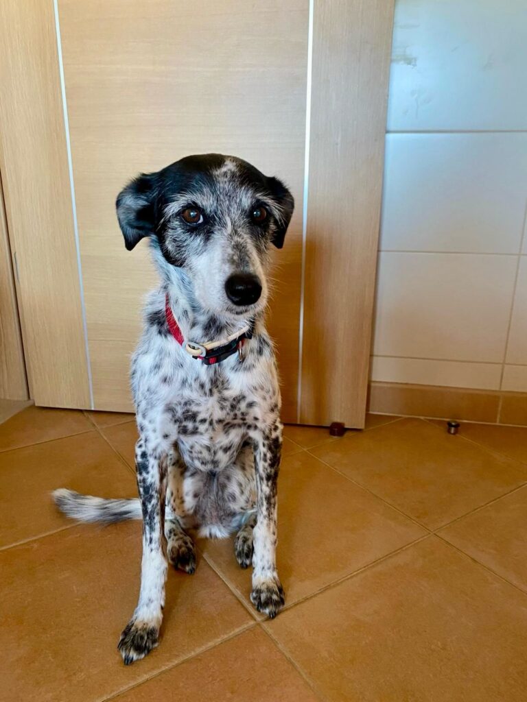 Linda is currently in foster care