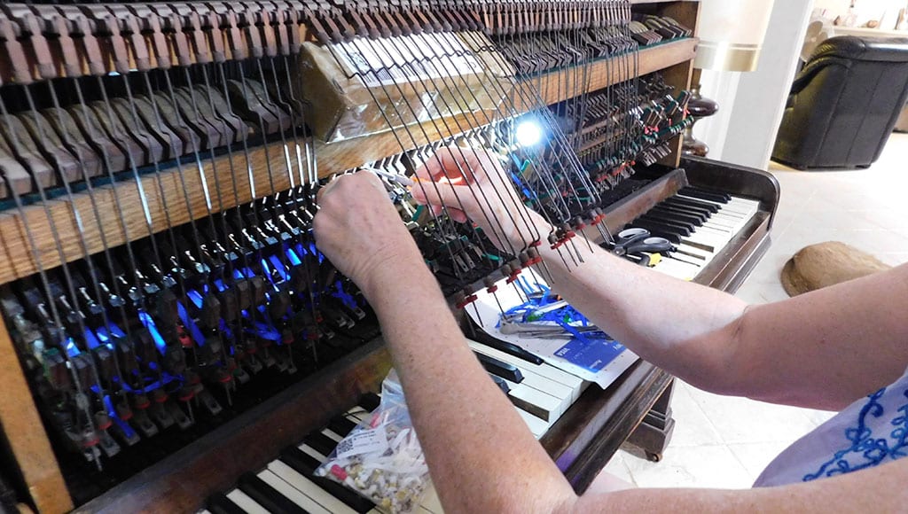 Replacing the ribbons with proper bridle straps