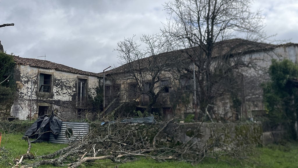 Rural Properties - Rua 5 Outubro - view of the rear garden