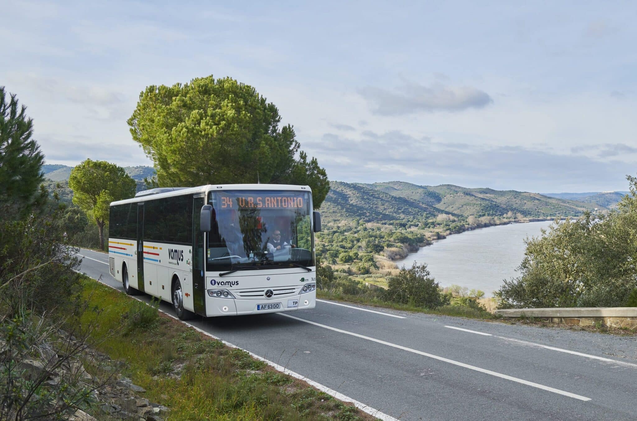 Algarve launches €108 million tender for new public bus operator