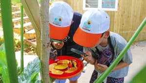 Awareness is the first step to protection