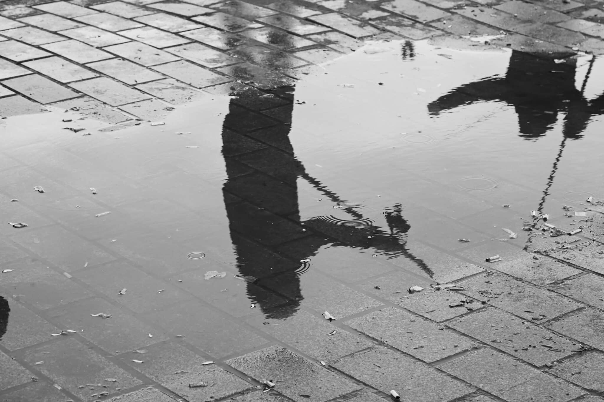 Portugal’s wettest February in 47 years