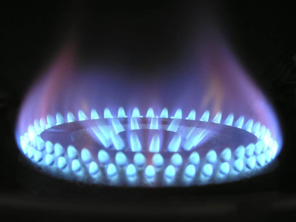 Portugal gas reserves adequate for size of market, says REN