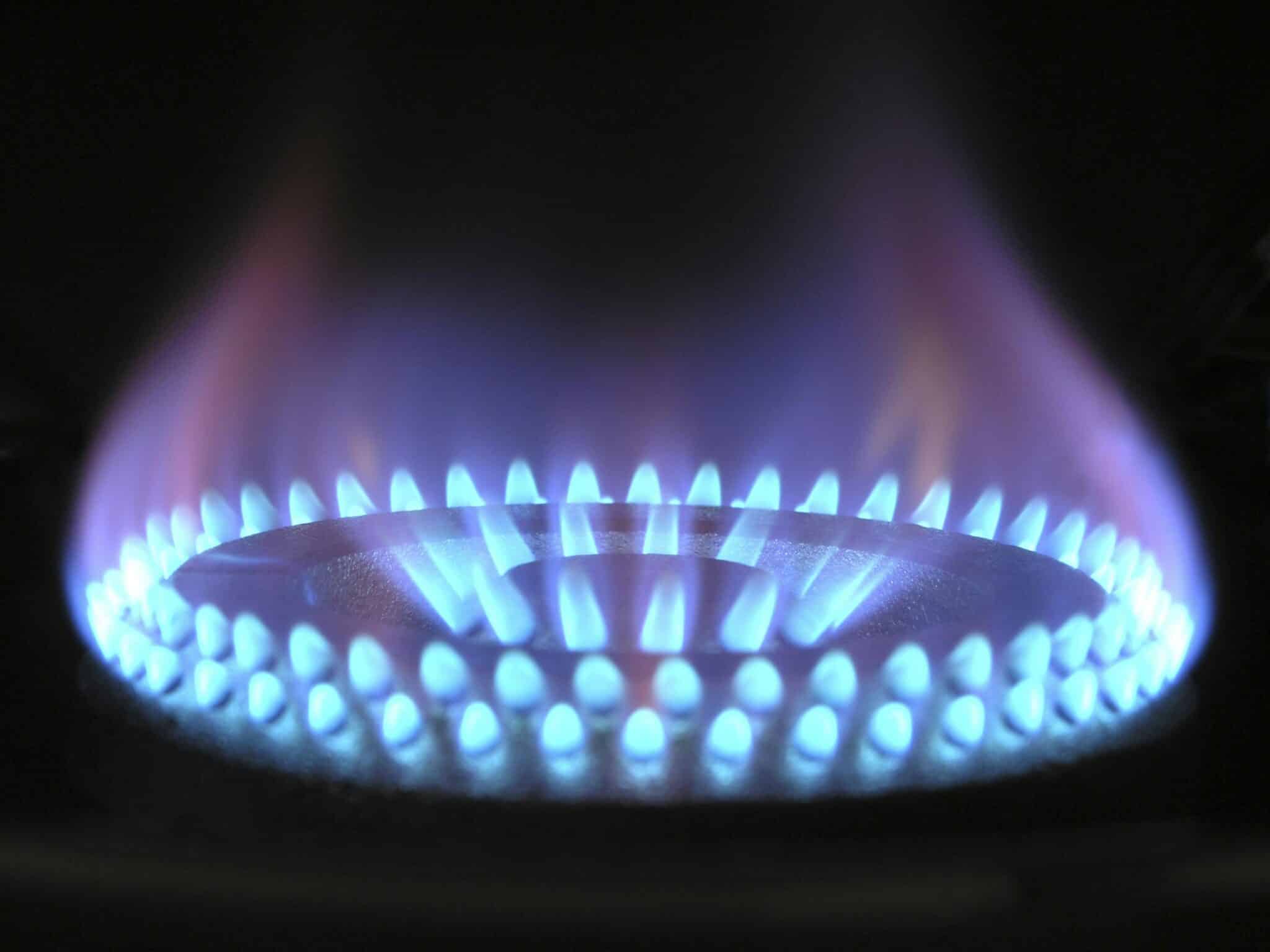 Portugal gas reserves adequate for size of market, says REN