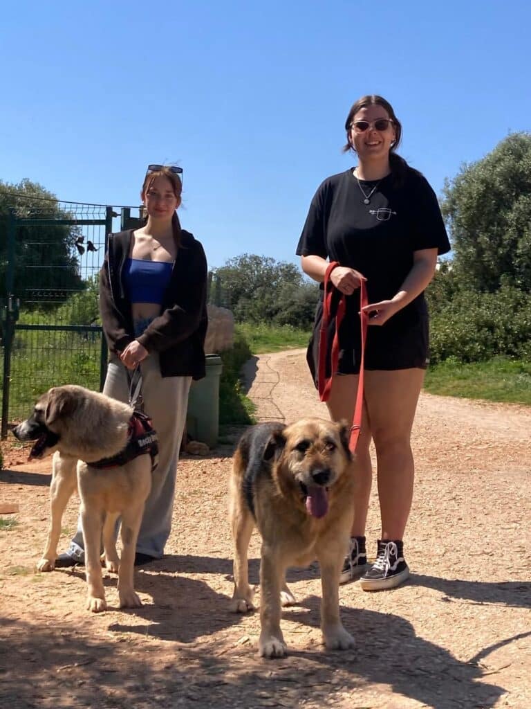 Bonny and Bobbi being walked_