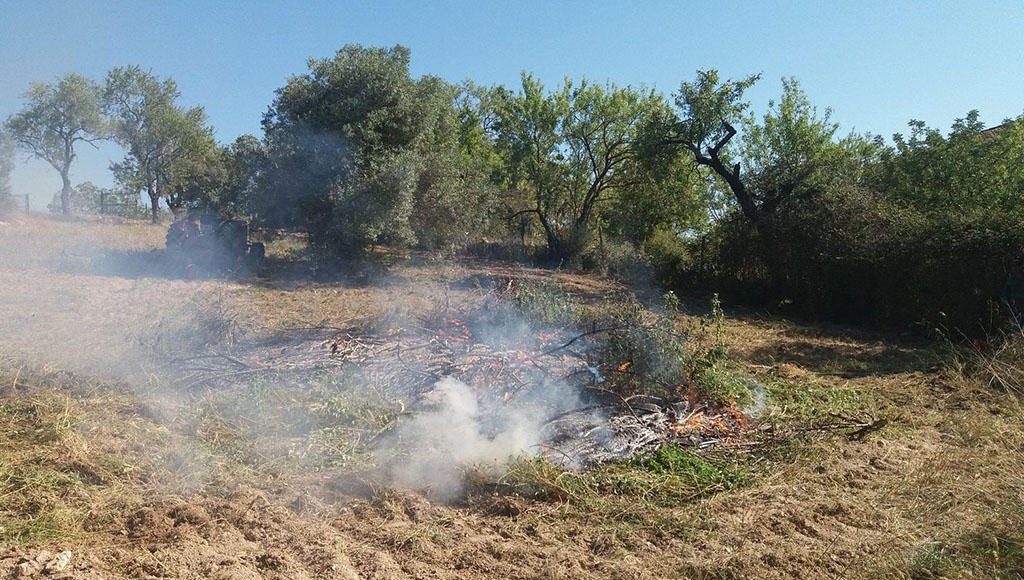 urning of cut and piled waste