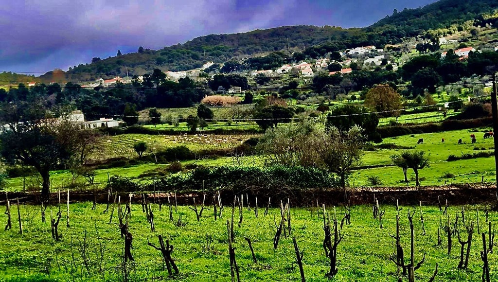 Cabeças do Reguengo, Alentejo