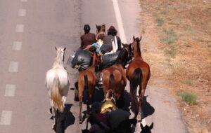 Portugal marks International Roma Day with no strategy