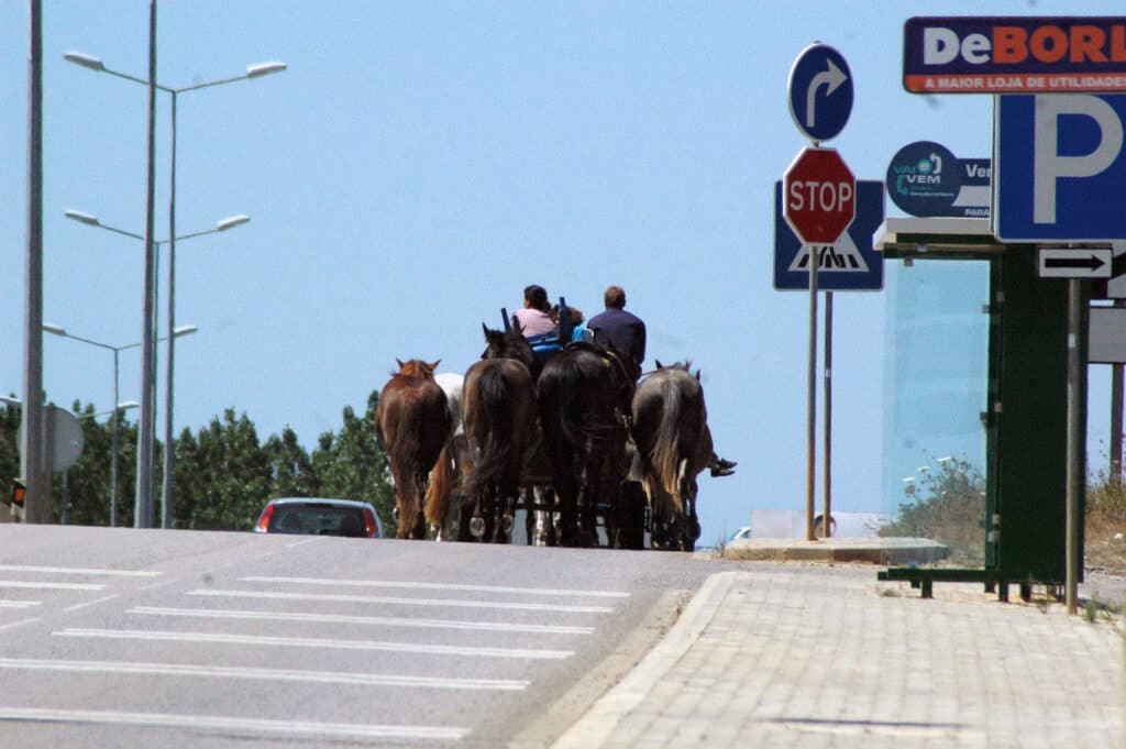 Ciganos nómadas - Foto BFP
