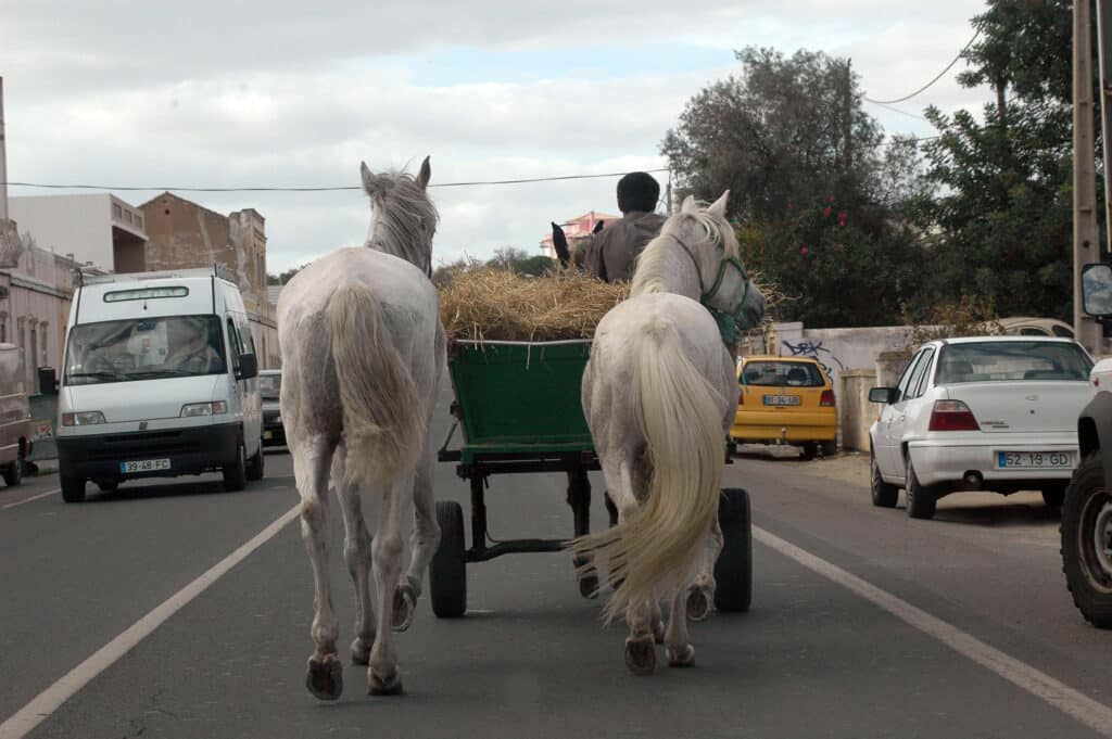 Ciganos nómadas - Foto BFP
