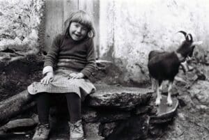 Rare glimpse of Portugal’s past unveiled in Portimão exhibition