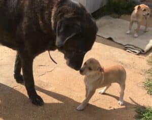 Two’s company. Three’s even better