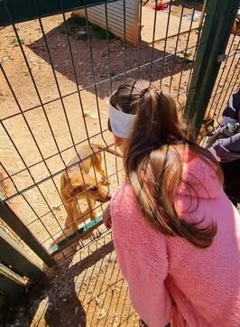 The children meeting Buddy and Billy_