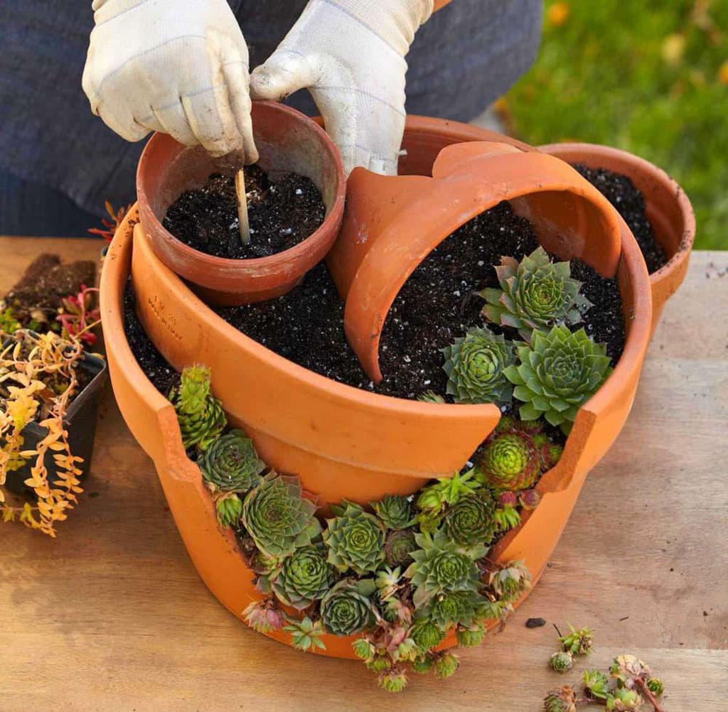 Broken pot planter