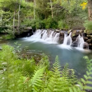 Serra da Estrela prepares for wildfire season using ancient knowledge