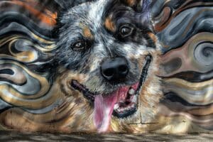 Quarteira launches contest for mural at new dog park