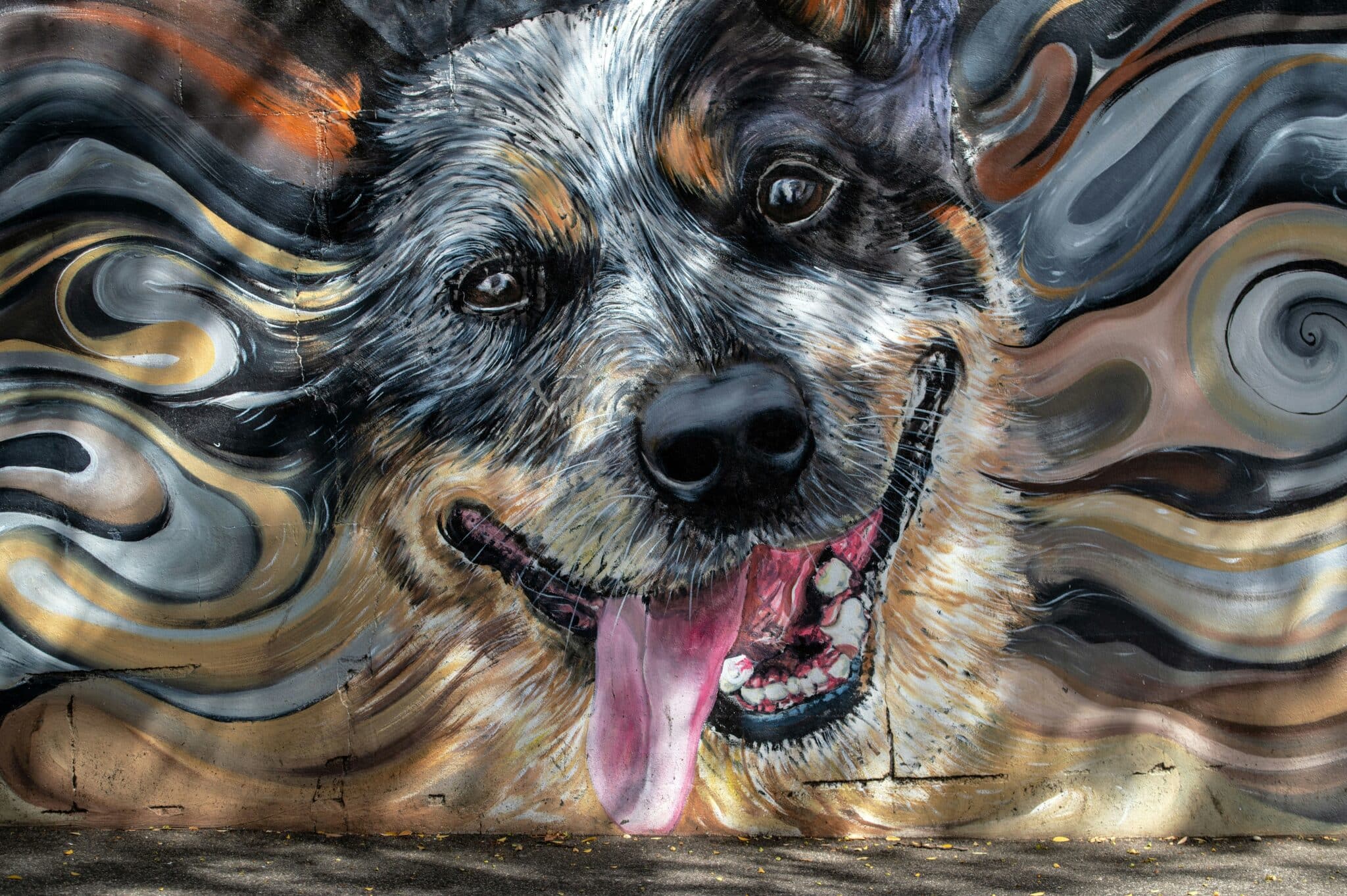 Quarteira launches contest for mural at new dog park